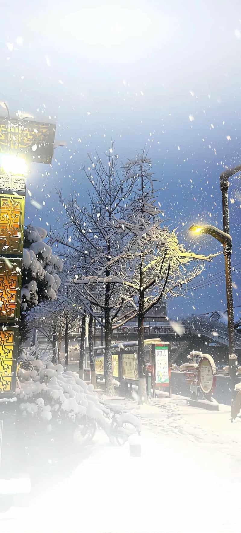 Album hình hình nền ip 12