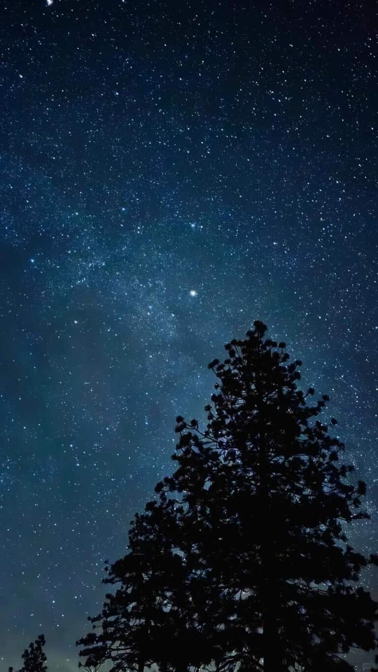 Ảnh avatar bầu trời đêm