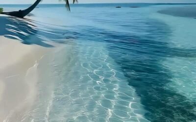 Ảnh hình nền iphone mới nhất