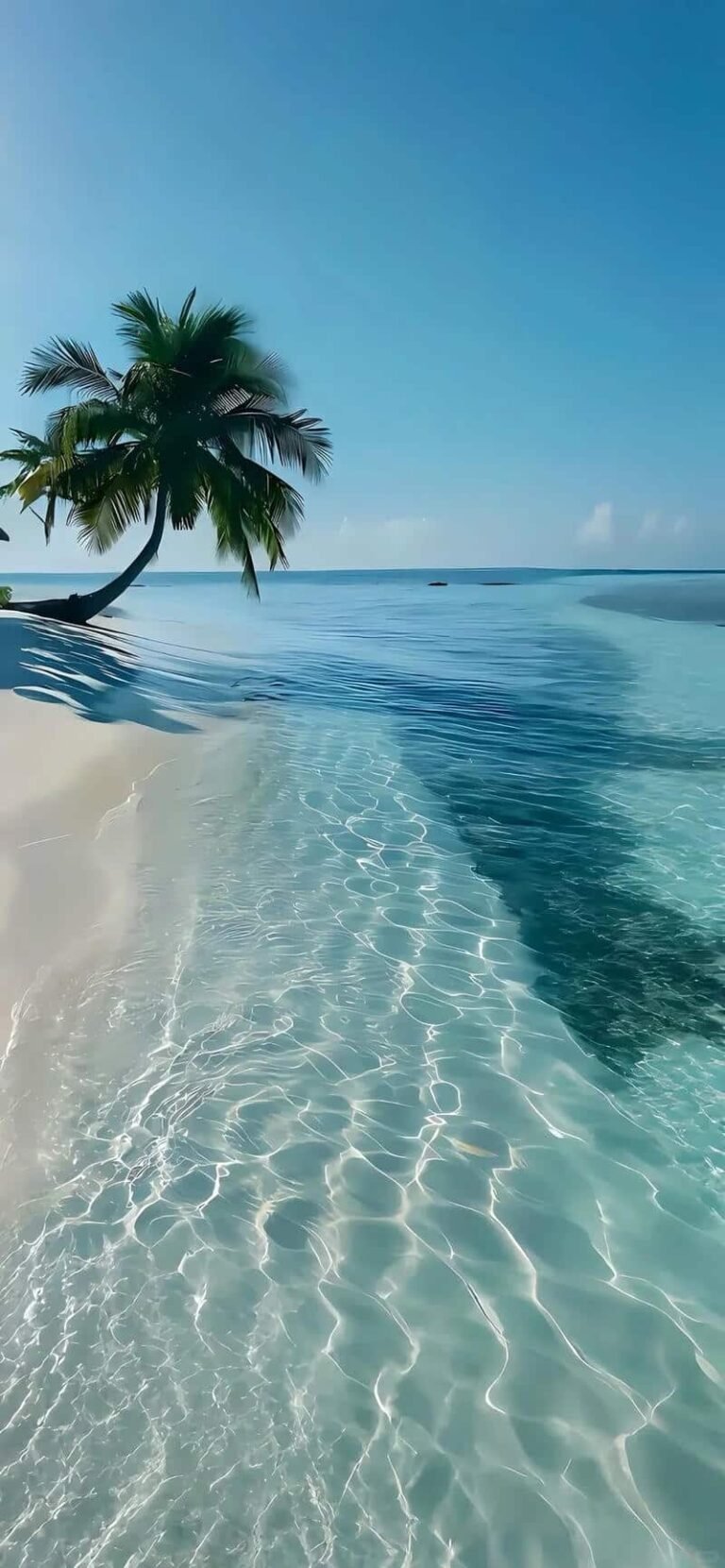 Ảnh hình nền iphone mới nhất