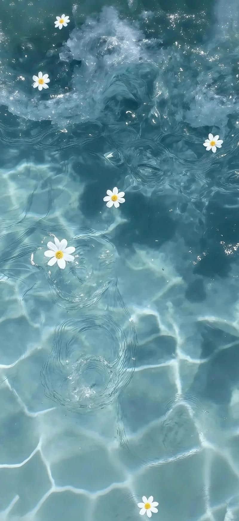 Bộ ảnh hình nền đơn giản mới nhất