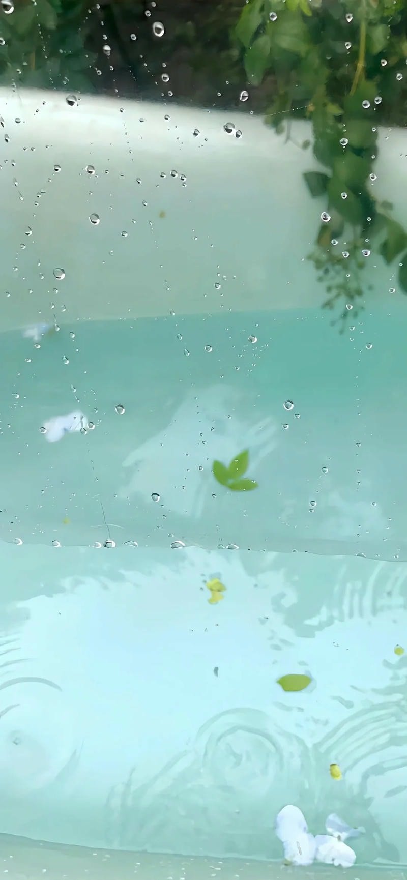 Bộ ảnh nền đơn giản