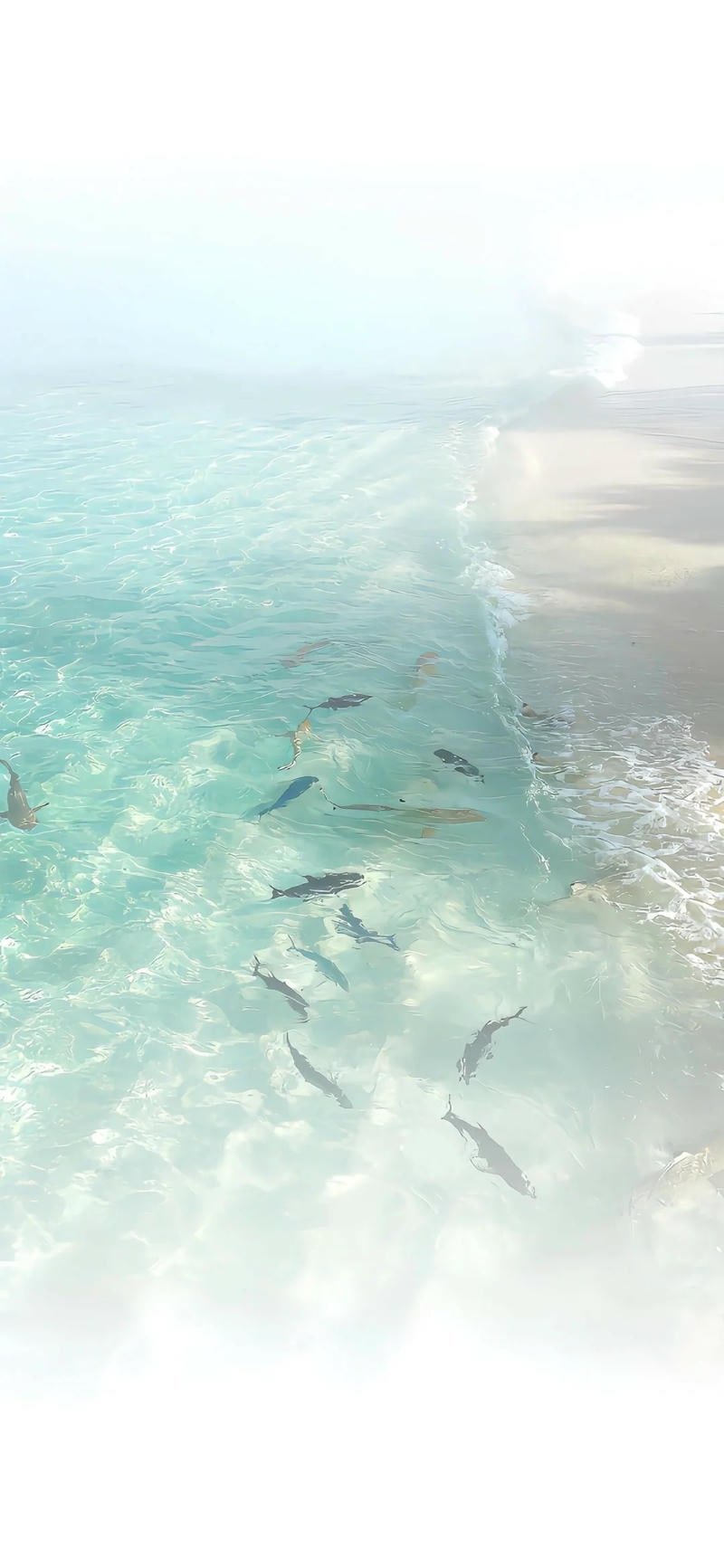 Hình ảnh tinh gọn đậm chất hình nền đơn giản