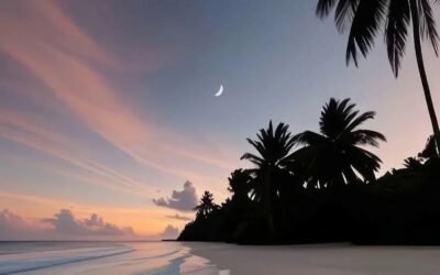 Ngắm ảnh hình nền ip 12mới