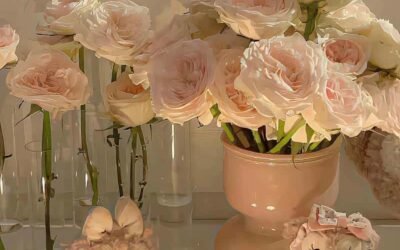 Tải ảnh đẹp hình nền điện thoại