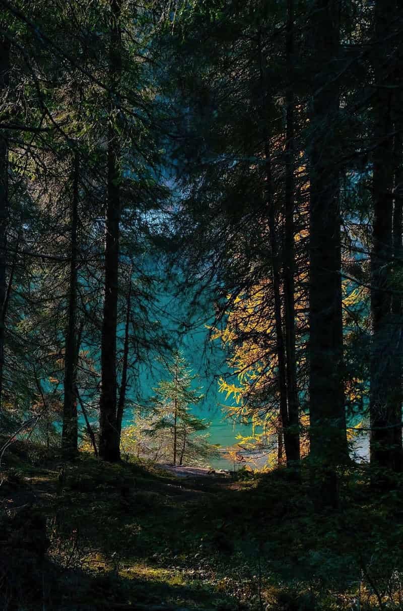 Xem ảnh hình nền ip 12 nổi bật