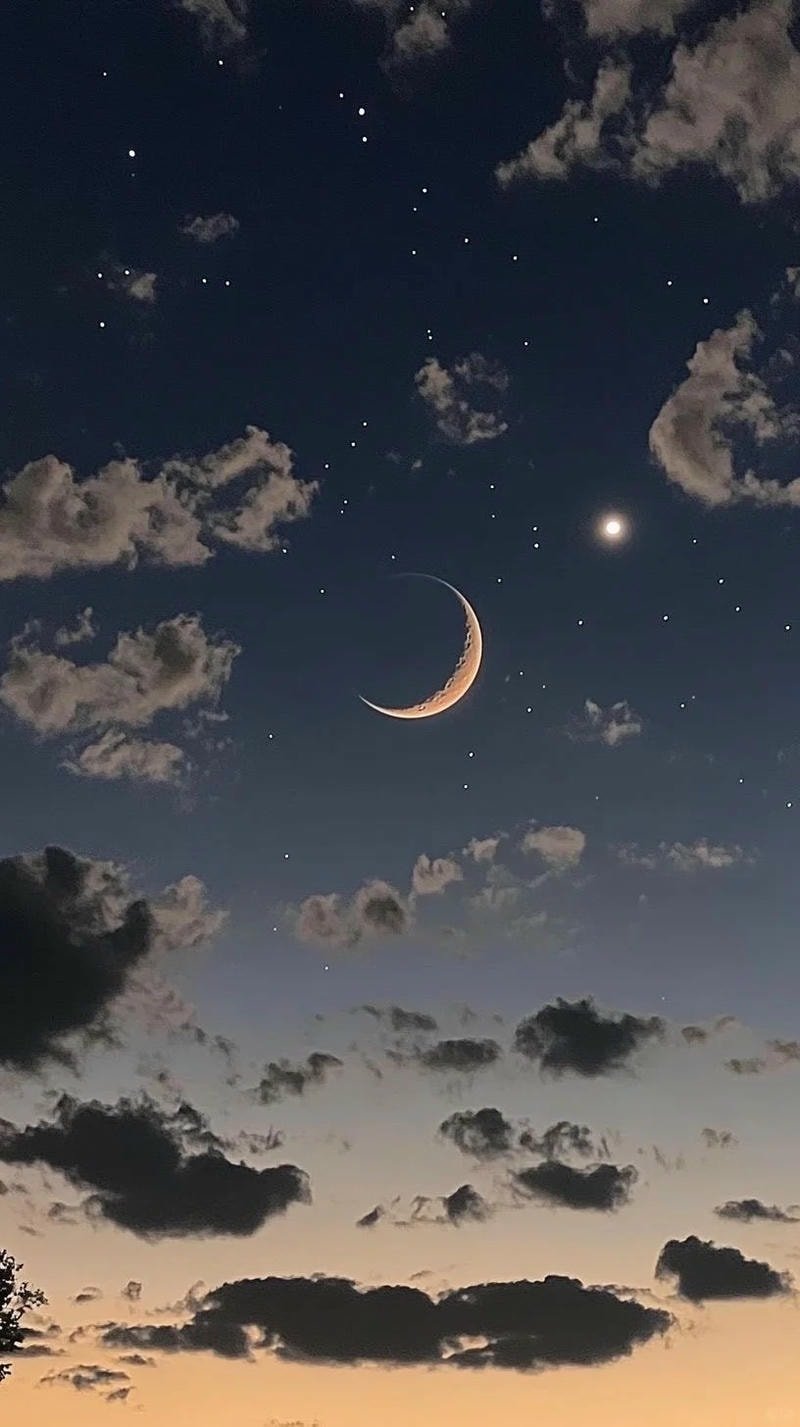 Tổng hợp 382+ hình nền trăng cực đẹp dành cho điện thoại