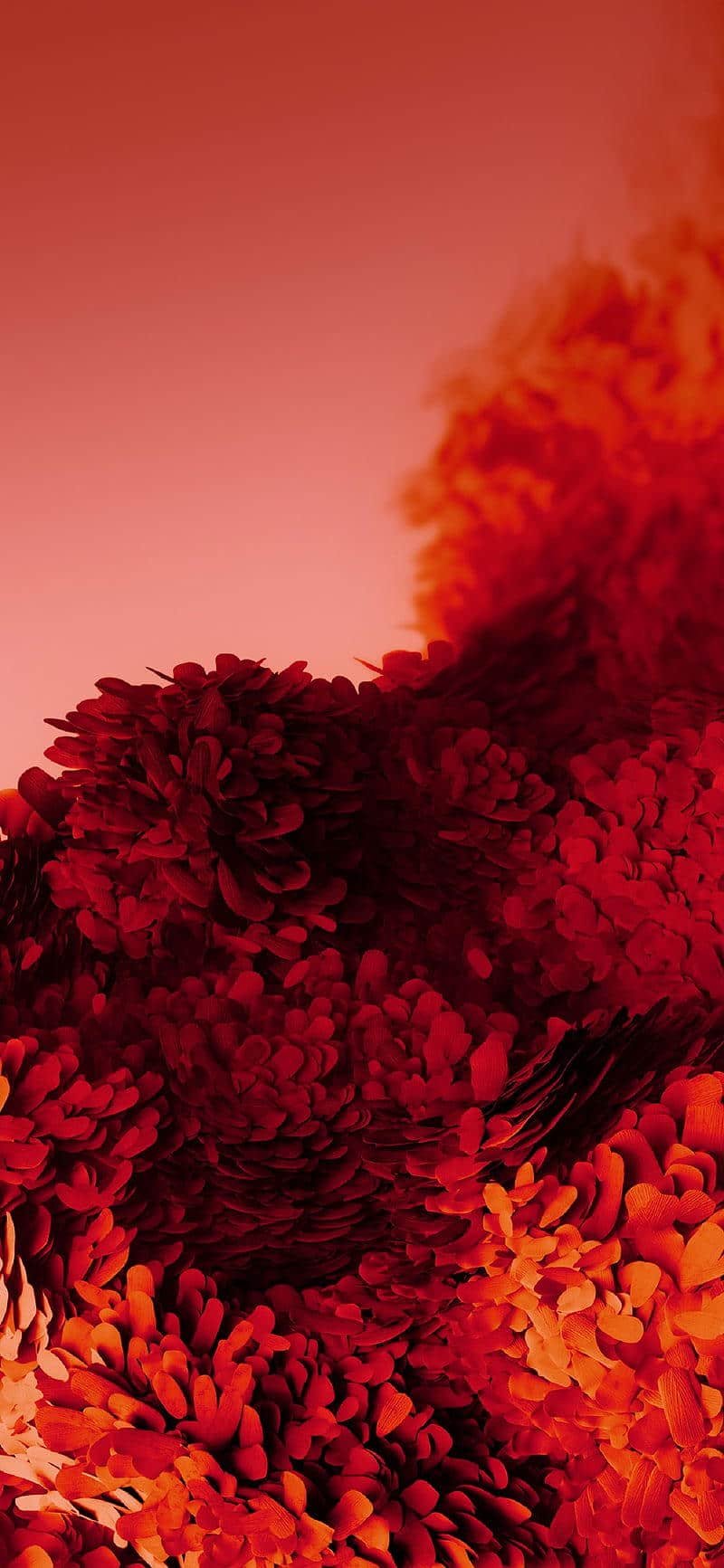 Album hình nền samsung mới nhất