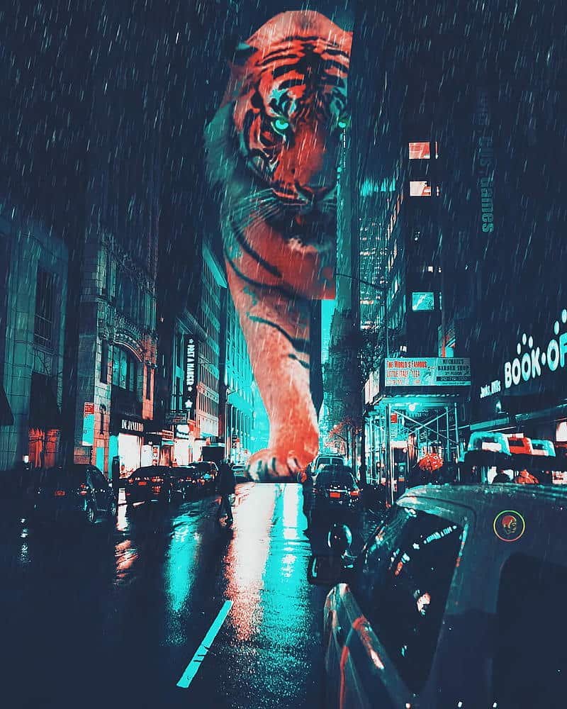Loạt hình nền thành phố neon độc quyền