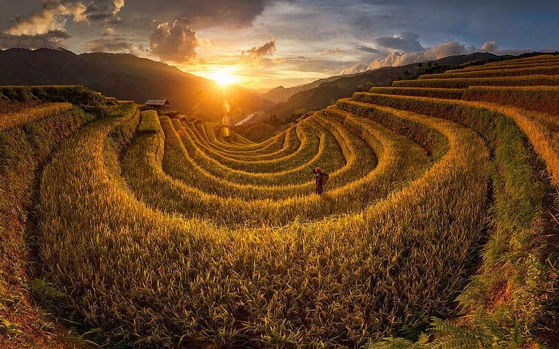 Album hình nền Việt Nam thu hút nhất