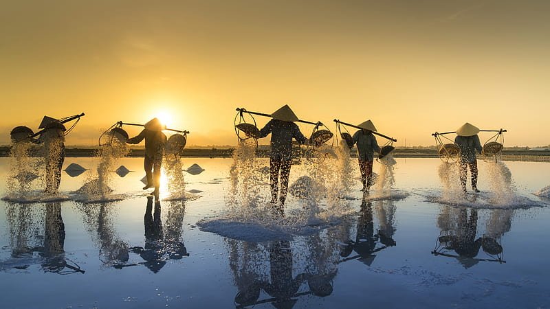 Album hình nền Việt Nam thu hút