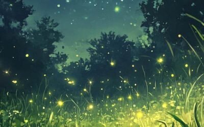 Album hình nền đom đóm miễn phí