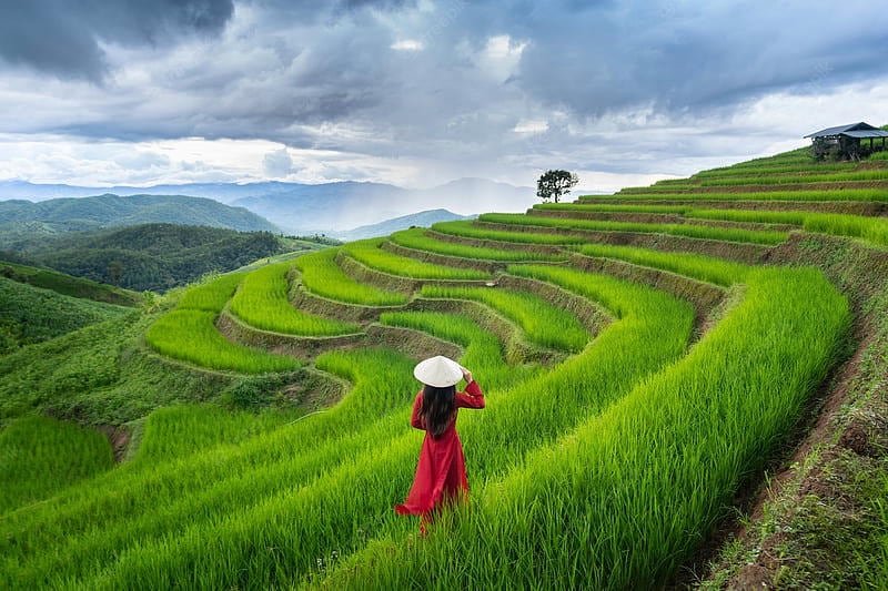 Bộ hình nền Việt Nam mới chất lượng cao
