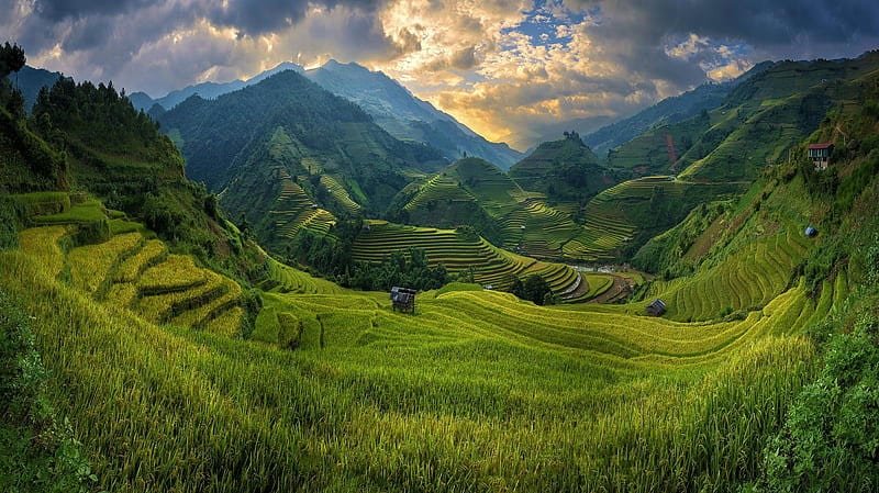 Bộ sưu tập hình nền Việt Nam chất lượng cao