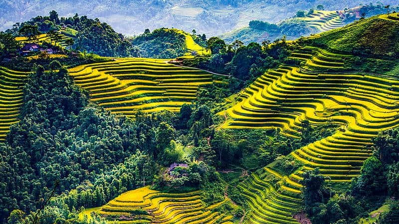 Bộ sưu tập hình nền Việt Nam chất lượng nhất