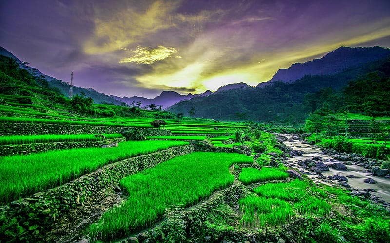 Khám phá hình nền Việt Nam cuốn hút