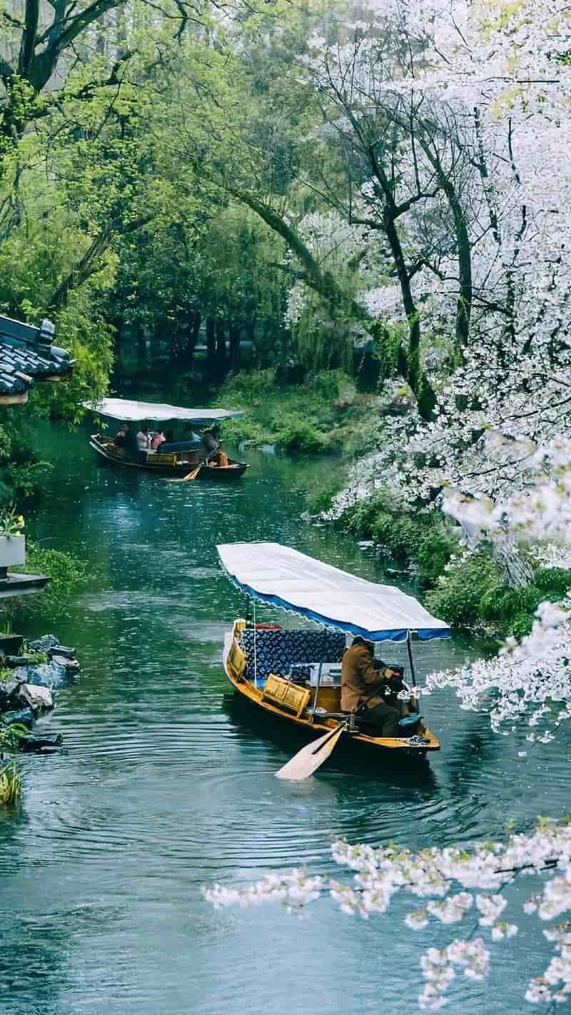 Khám phá hình nền chill cuốn hút