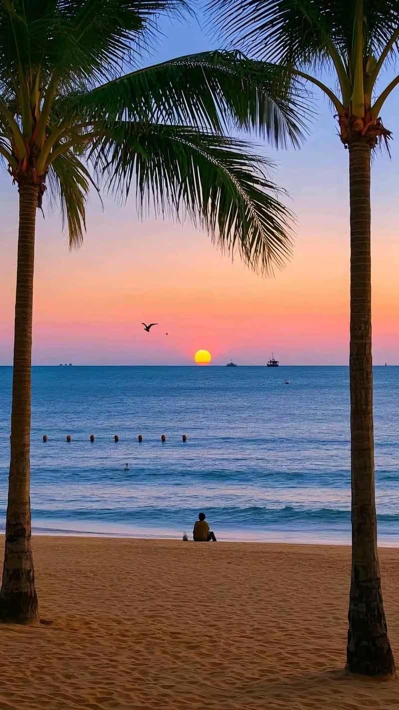 Khám phá hình nền chill thu hút