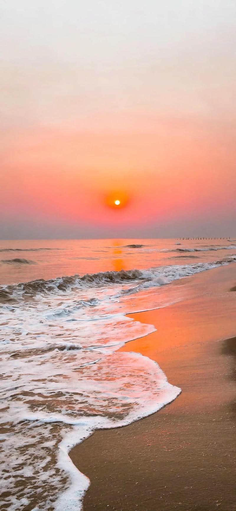 Khám phá hình nền đẹp thu hút