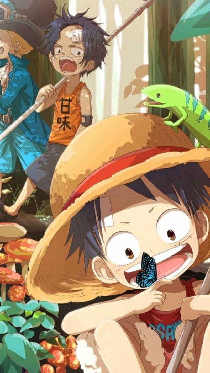 Tải về hình nền luffy mới